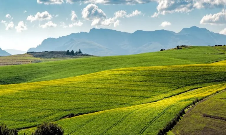 Sustainable Farming Practices for the Modern Homesteader